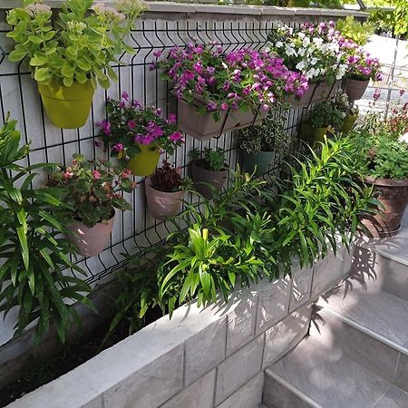Apartment Iva تريبينيي المظهر الخارجي الصورة